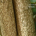 Hibiscus tiliaceus (Coastal Cottonwood) bark. This species is a mangrove inhabitant not a true mangrove.